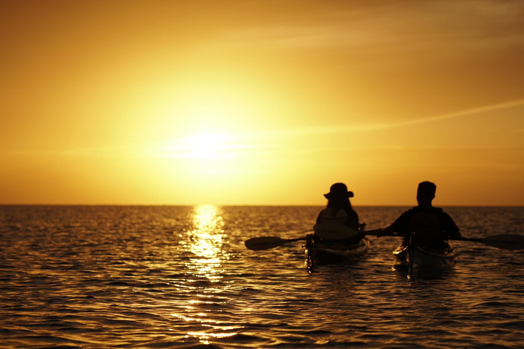 サンセットカヤックツアー