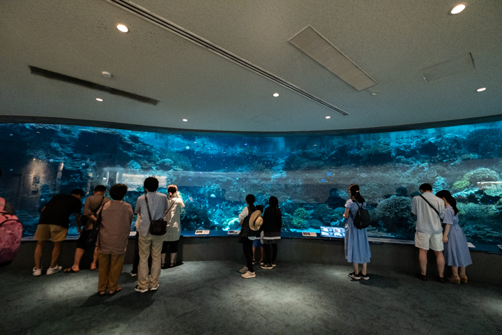 沖縄美ら海水族館の水槽