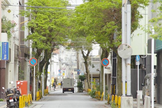 並木道が地域をつなぐ《壺屋並木道》