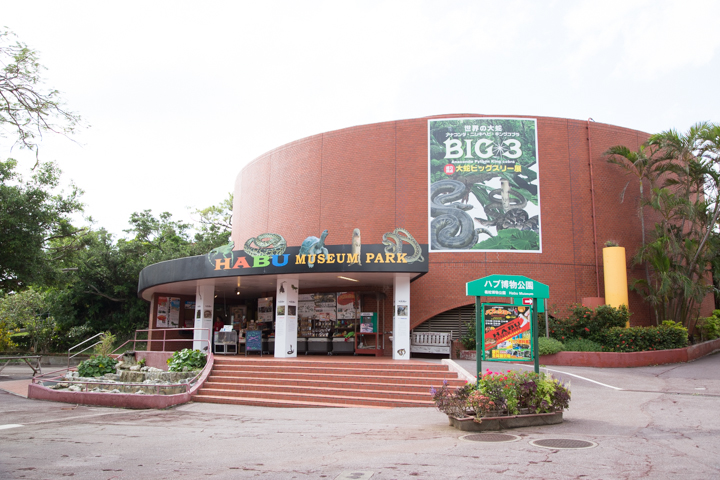 ハブ博物館
