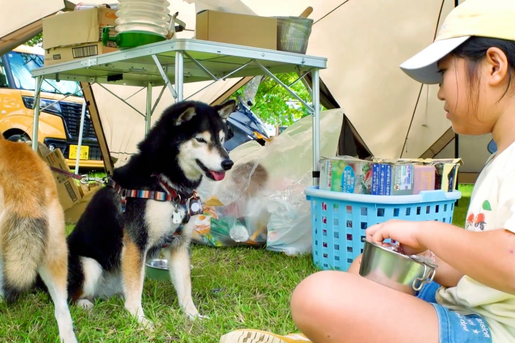 ペットと参加する家族