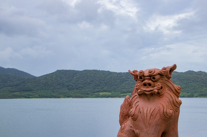 冬の沖縄をイメージ