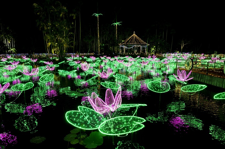 東南植物楽園のイルミネーション
