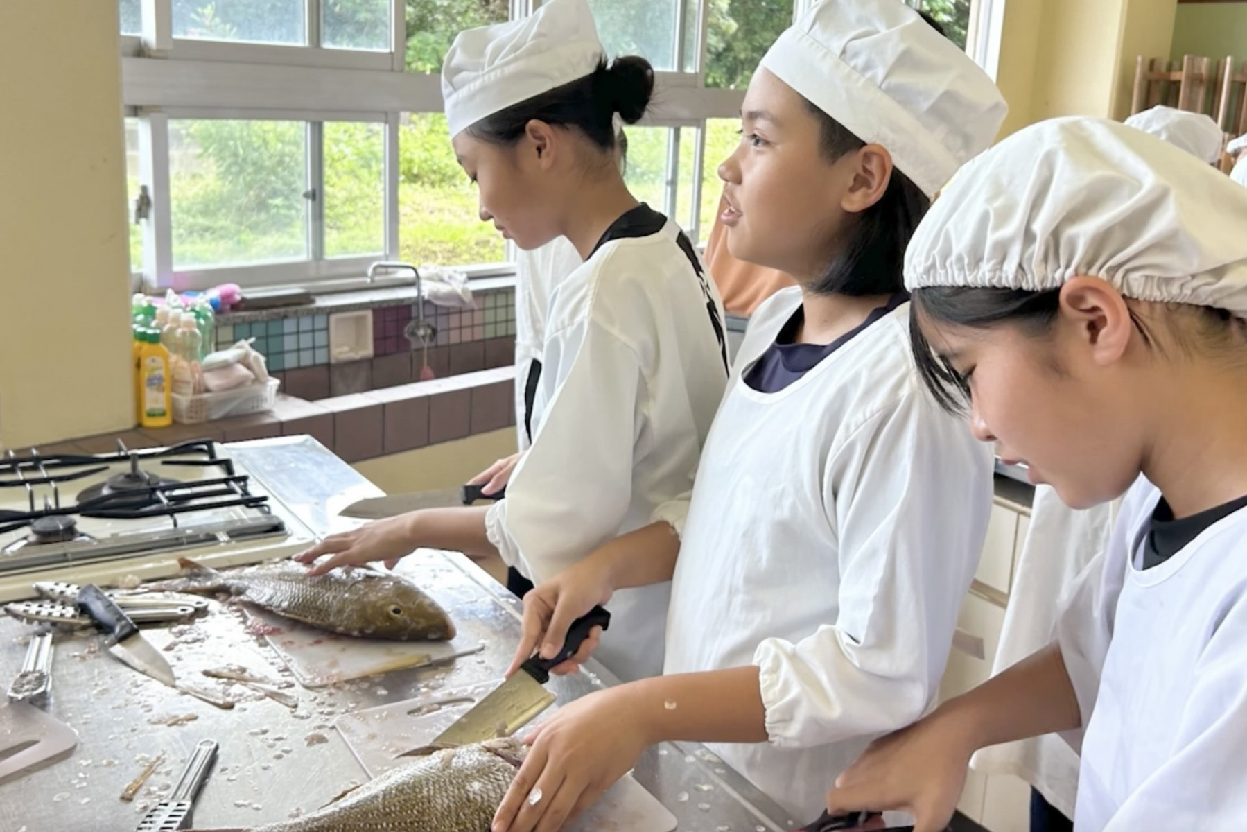今帰仁 タマンを捌く体験を楽しむ子供達