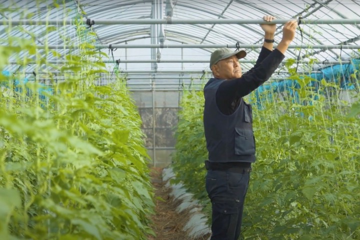 農作業をする中川さん