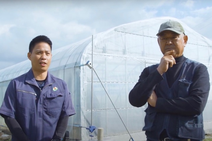 JAおきなわ営農指導員・平安名さんとのコミュニケーション
