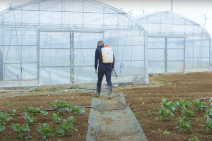 農作業をする人