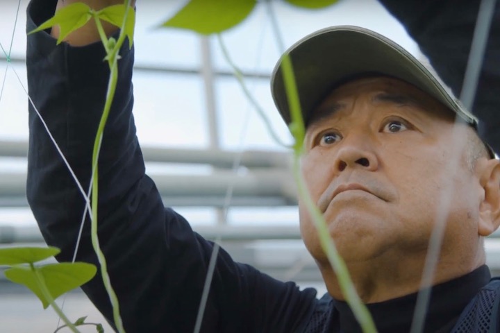 農作業中は、真剣に作物に向き合う