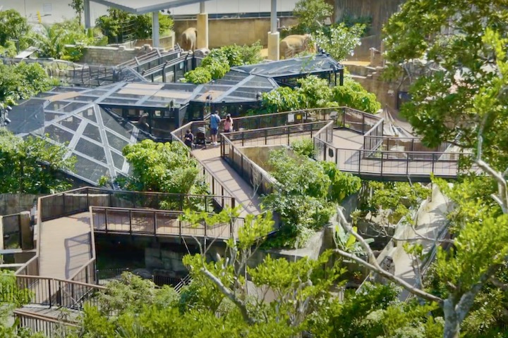 緑と光いっぱいの「沖縄こどもの国」