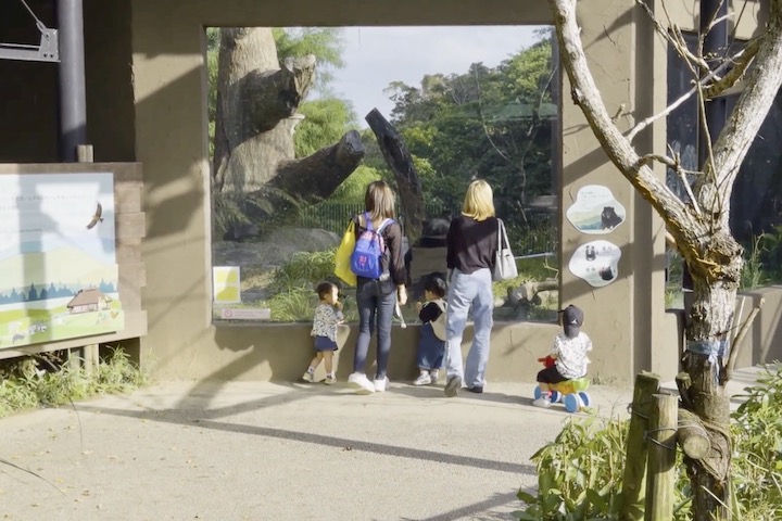 動物を間近に観察できる動物園