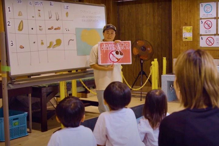 モルモットのからだの特徴について学ぶ子供たち