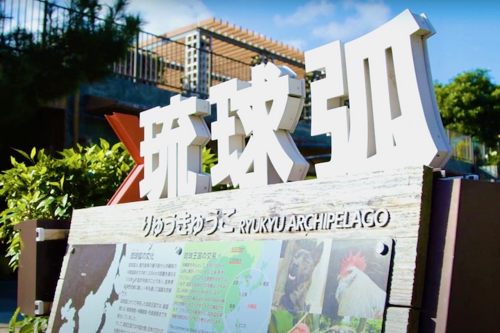 琉球孤には固有種や亜種が多く生息