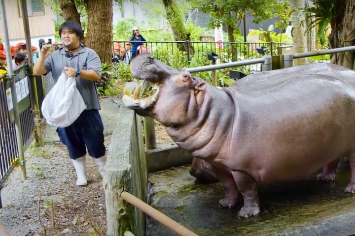 動物たちの食事の様子を観察できる「くわっちータイム」