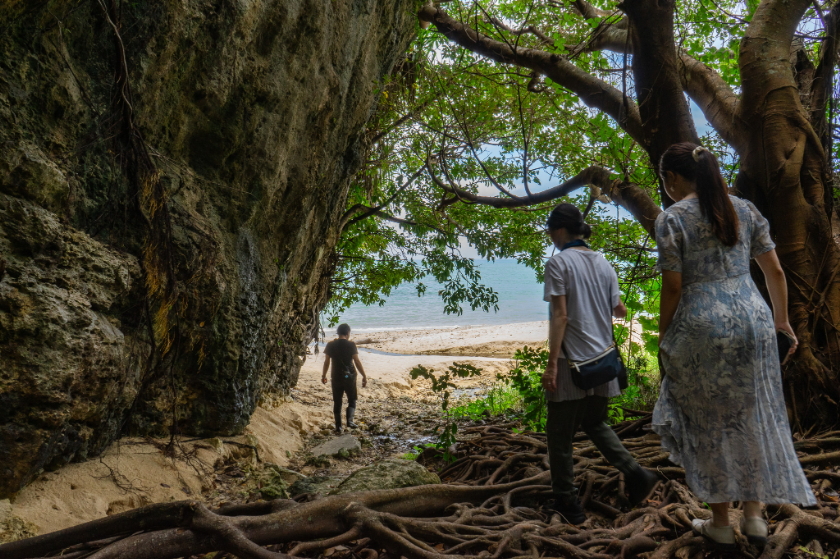 やぶさちのツアー