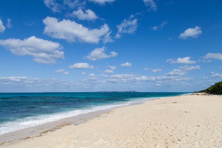 2月の沖縄イメージ