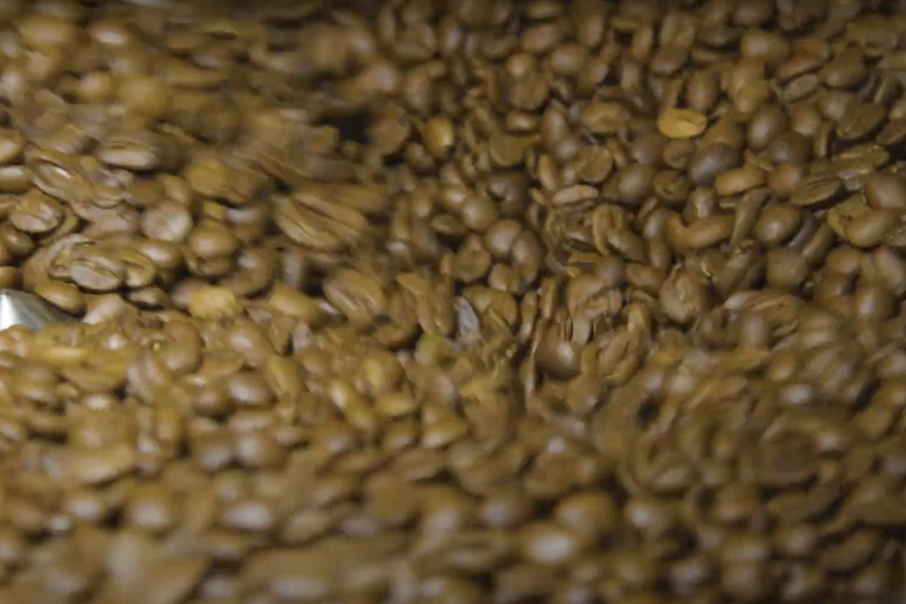 焙煎中のコーヒー豆