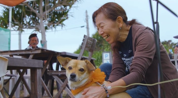 犬を連れている女性