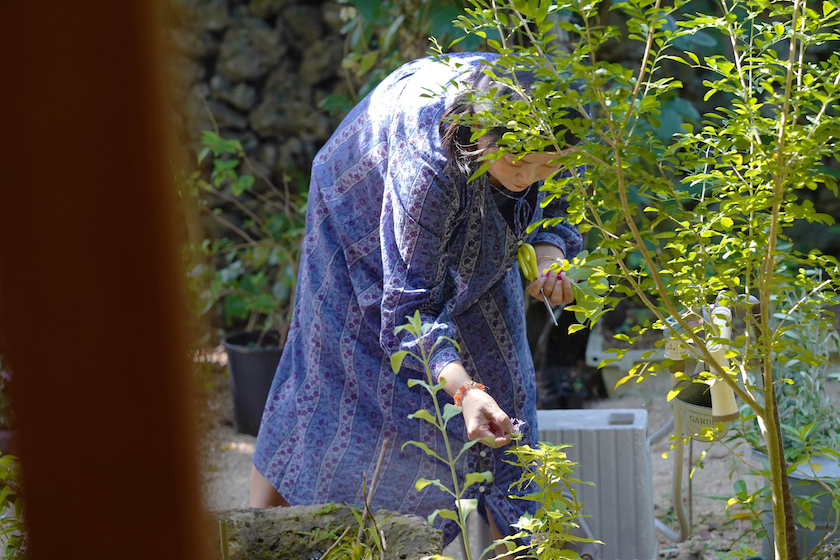 庭でハーブを積んでいる三木さん