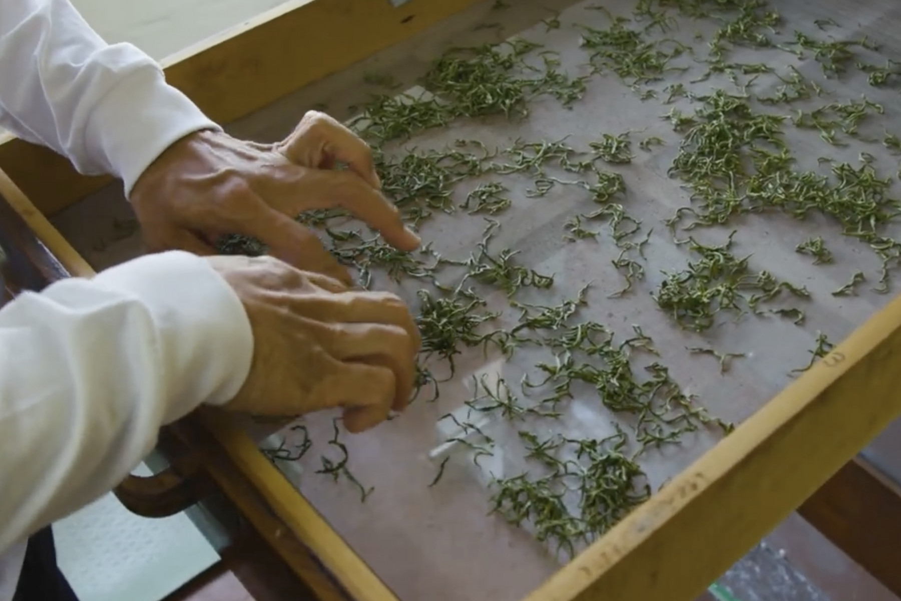 発酵器の中で２〜３時間ほど発酵させます