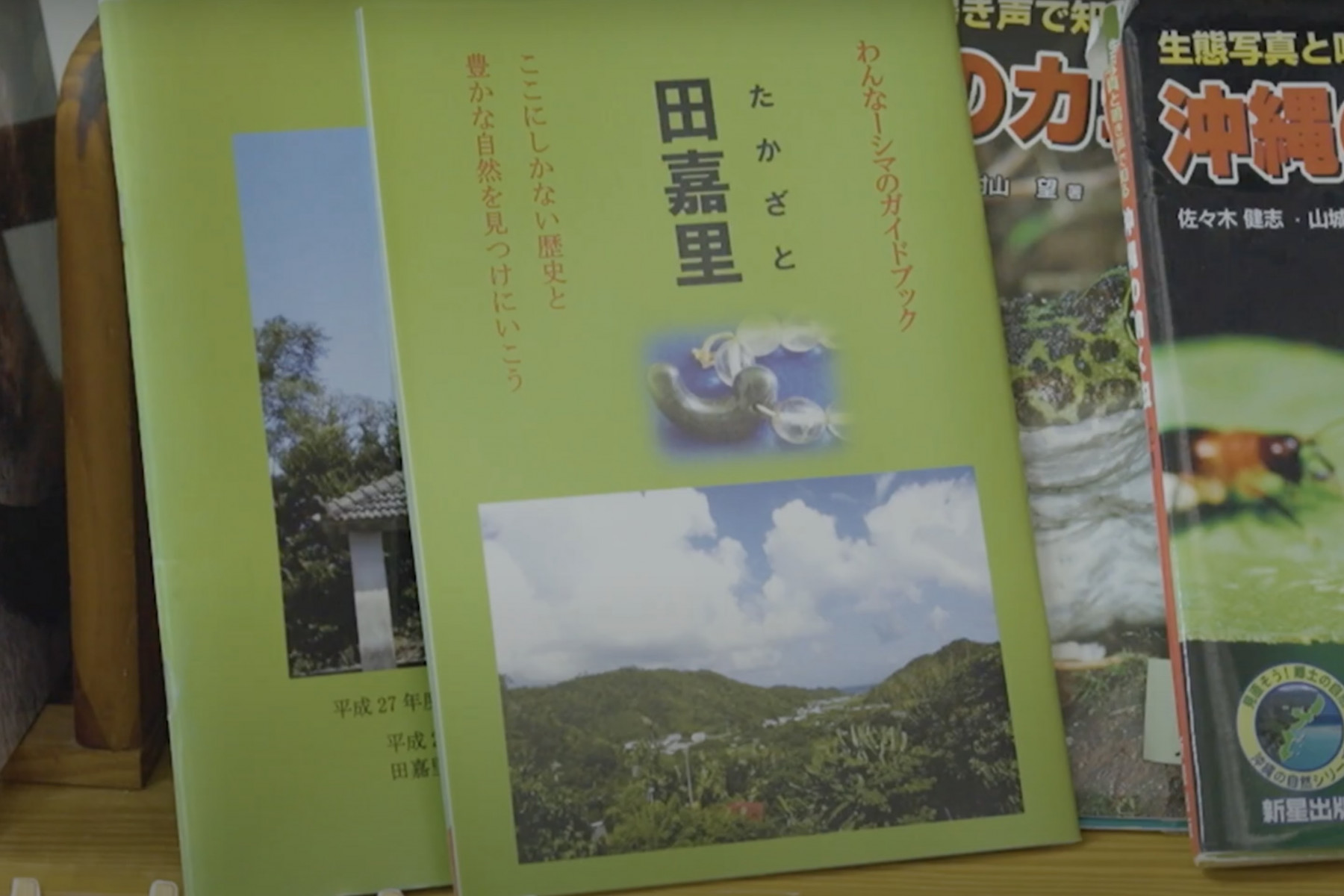 田嘉里のガイドブック