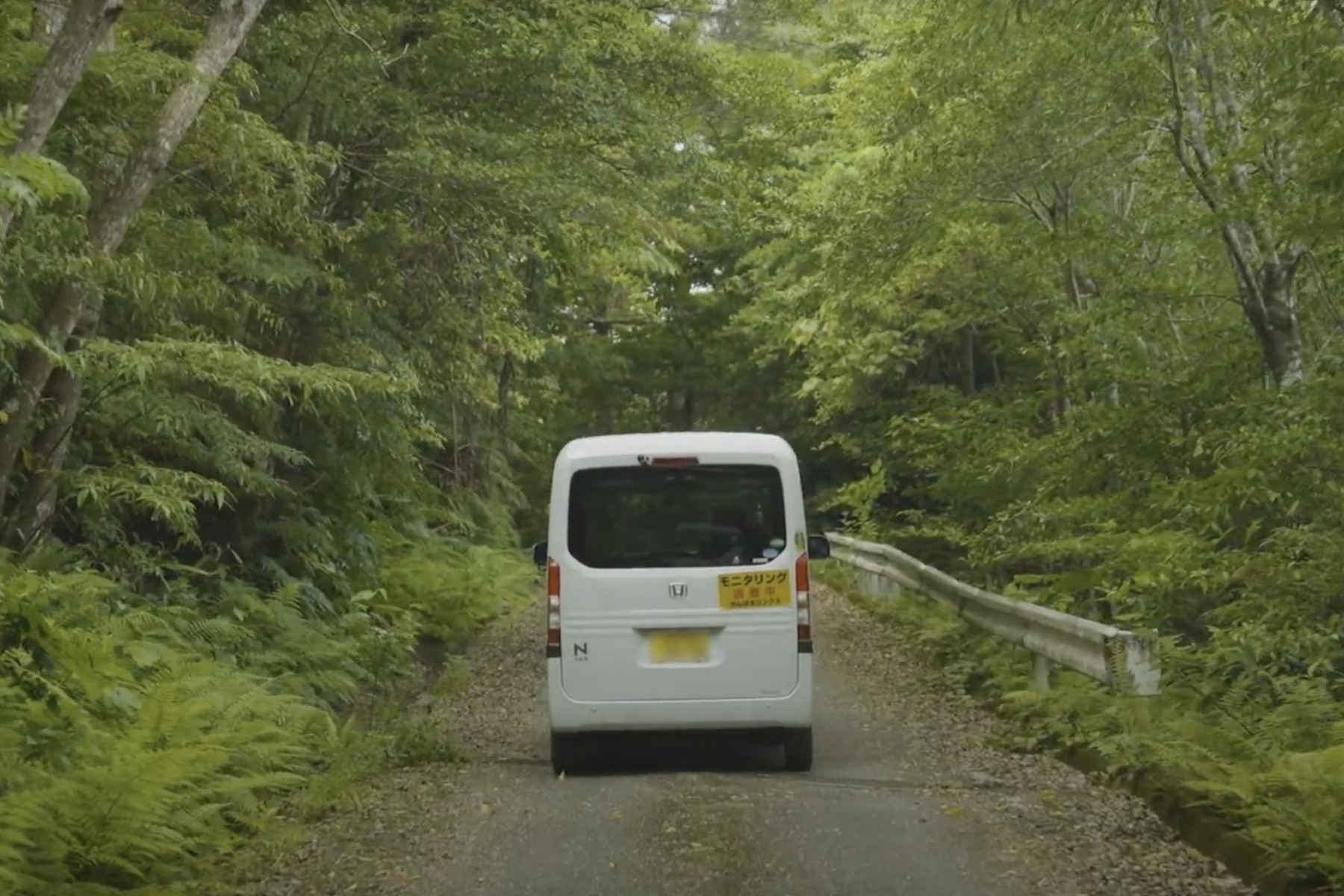 林道パトロール中の車