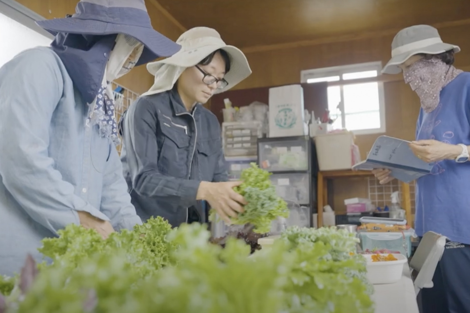 出荷を手伝う咲希さんのお母さま、末次悦子さん（左）と仲間の榊原英実さん