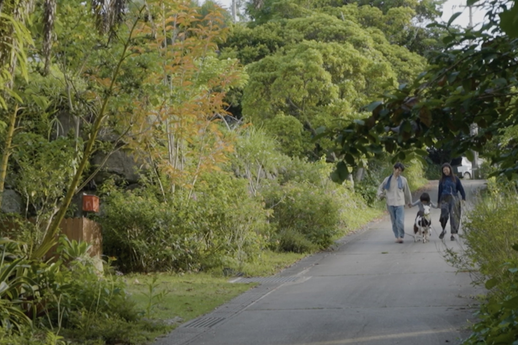 木々がある道を歩く人々