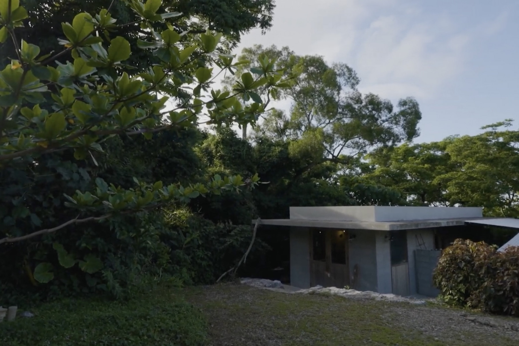 緑に囲まれた工房兼ギャラリー