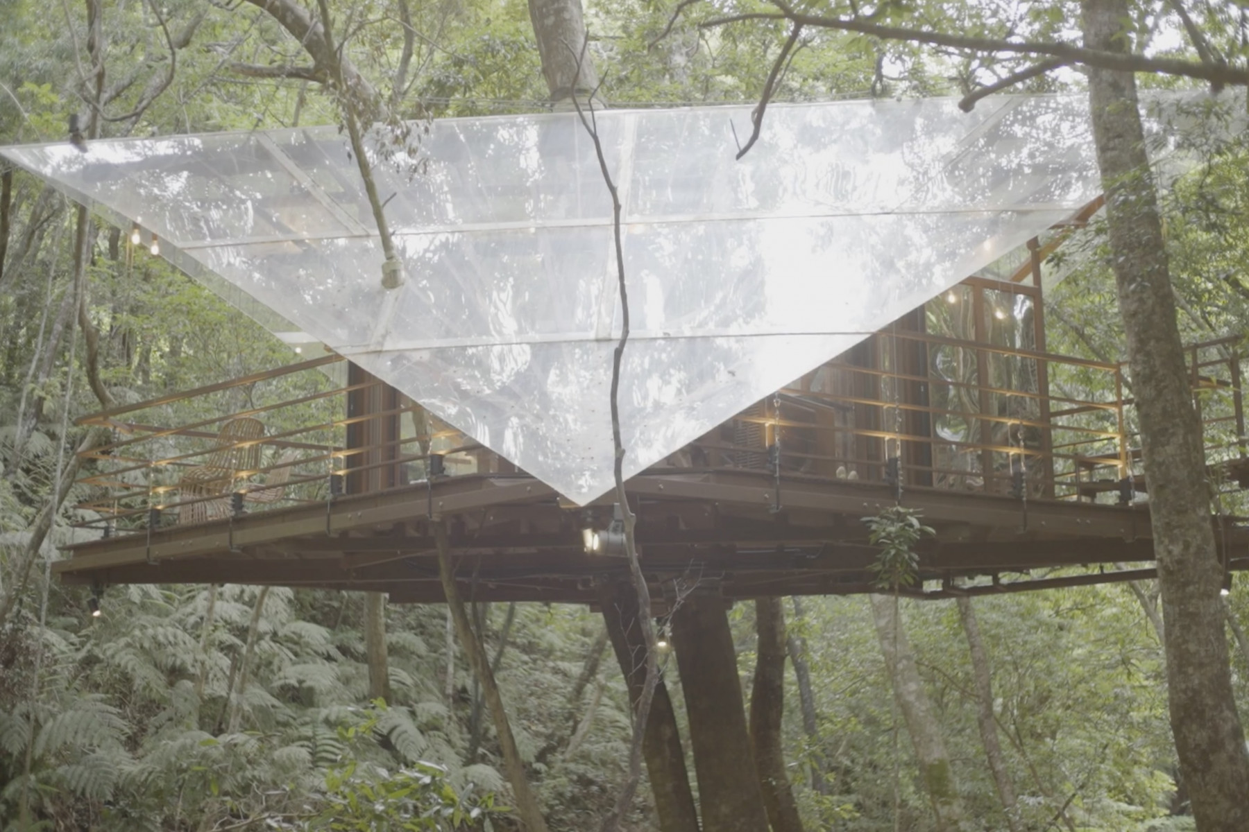 ハルシオンと名付けられたツリーハウス