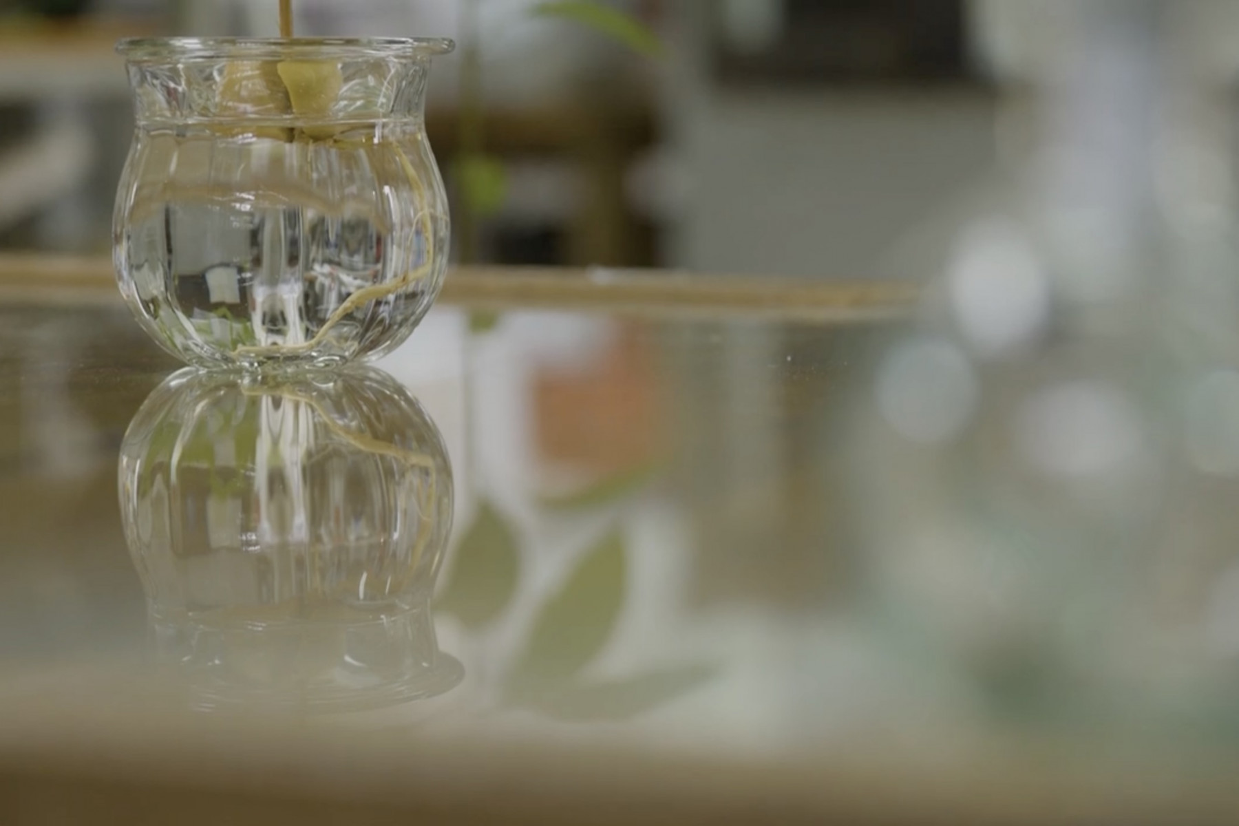 テーブルに置かれたガラスの器