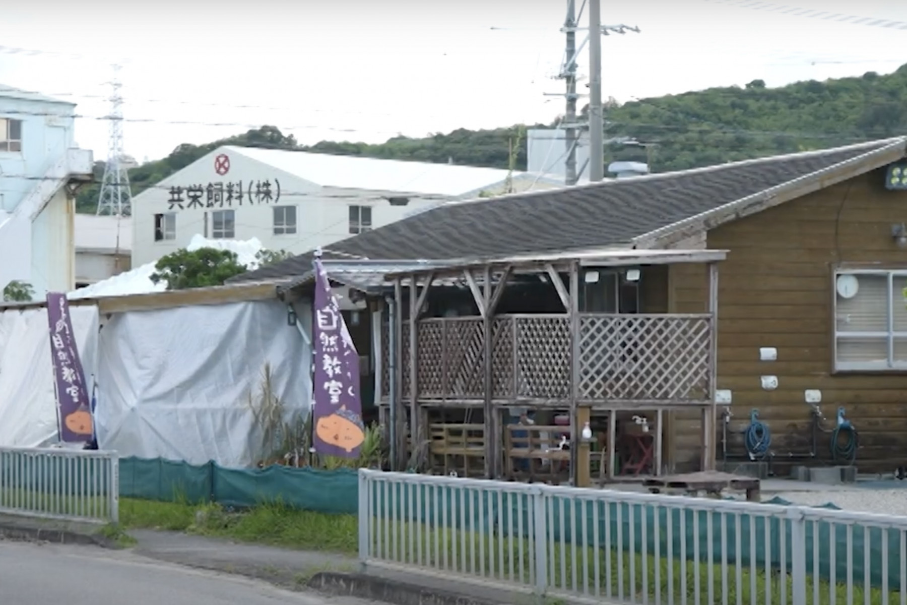 ネコのわくわく自然教室