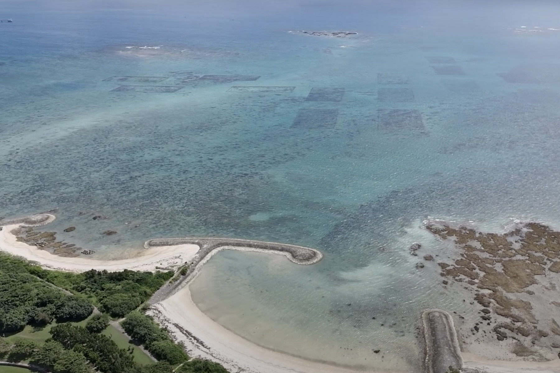 ドローンで撮影した中城湾。透明度の高さがわかります