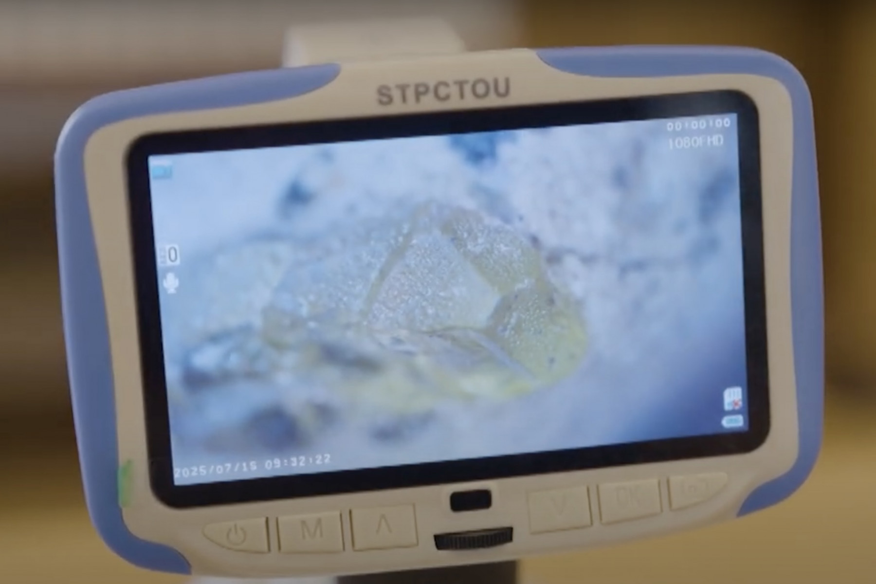 火山の噴火によって生まれる軽石には、マグマが冷えて結晶化された宝石（鉱物）が混ざることも