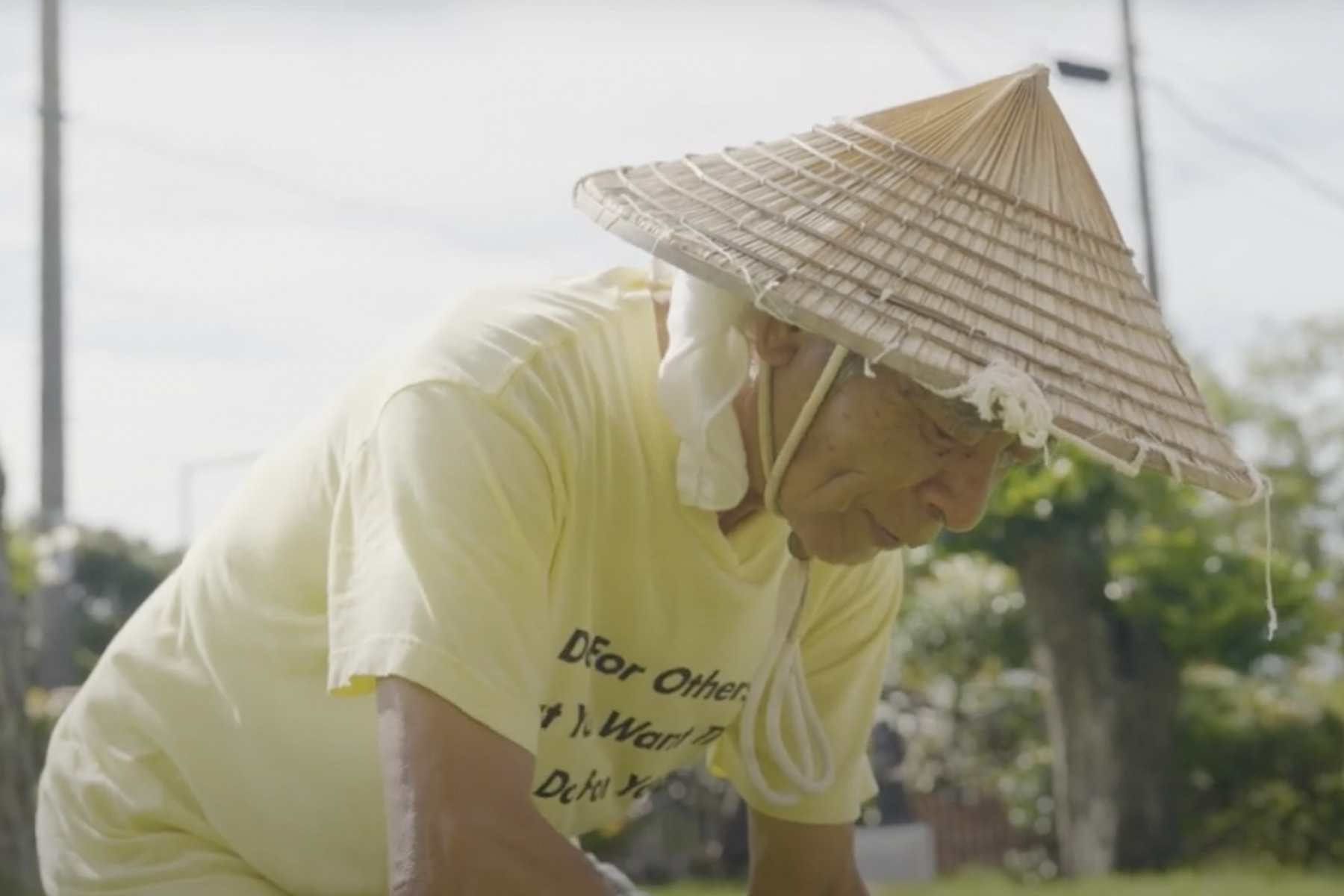 朝の涼しいうちに草刈り。