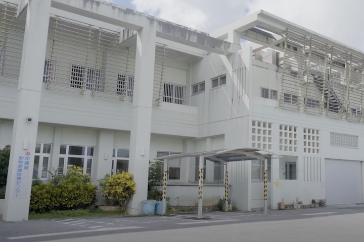 さまざまな動物を収容する沖縄県動物愛護管理センター