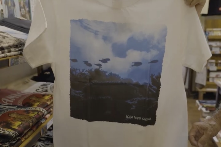 水中から見上げた一枚。「そらとぶさかな」