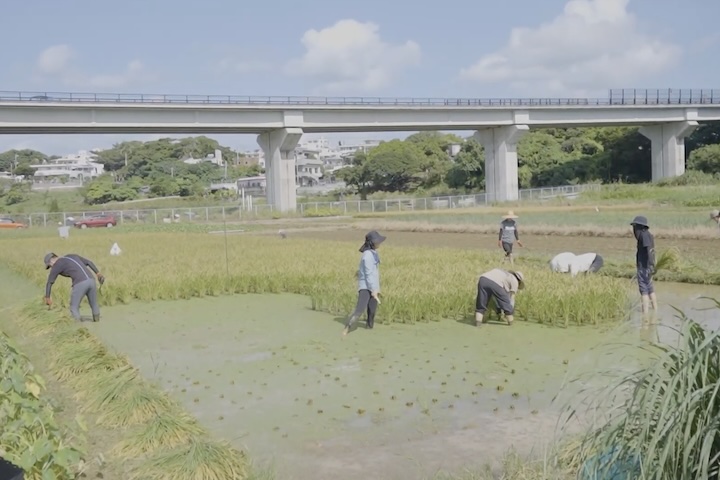 食を通して優しい未来を考える《宜野座愛美》