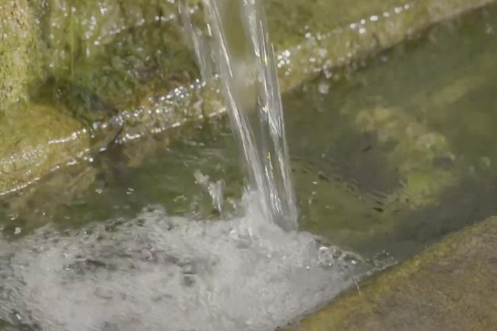 昔は地域の人たちの生活用水だった金武の大川