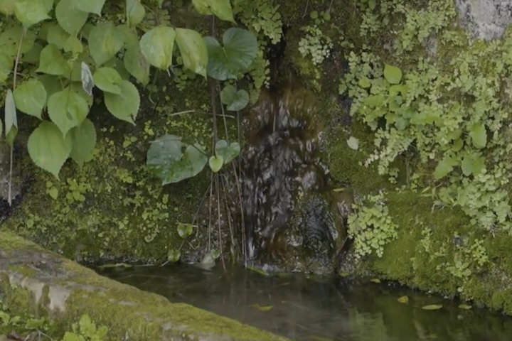 こんこんと湧く湧水はかつての集落にとって宝の泉