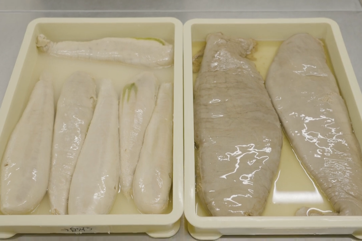 本マグロ（右側）以外に、他の種類のマグロ（左側はメバチ）の卵巣でもボッタルガを作っています