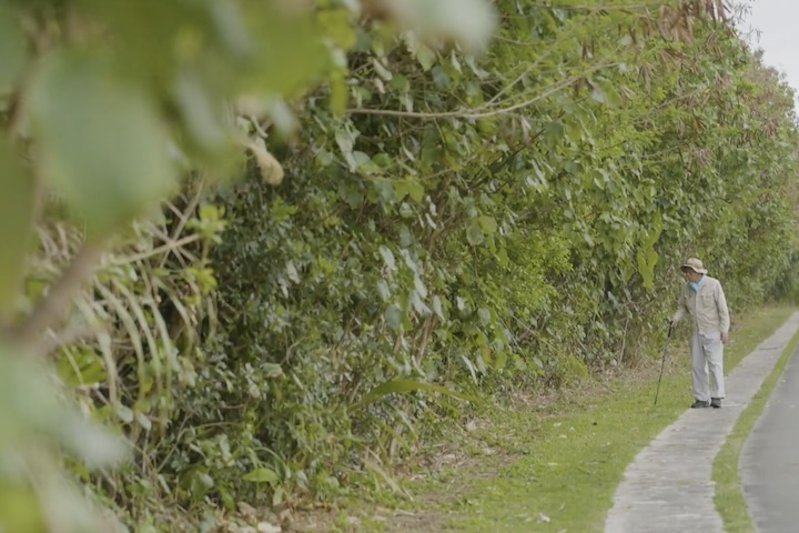 みちくさがライフワークという仲田先生