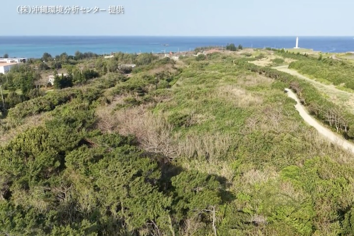 残波しおさいの森