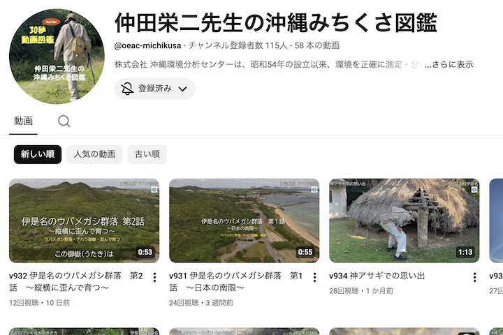 沖縄みちくさ図鑑