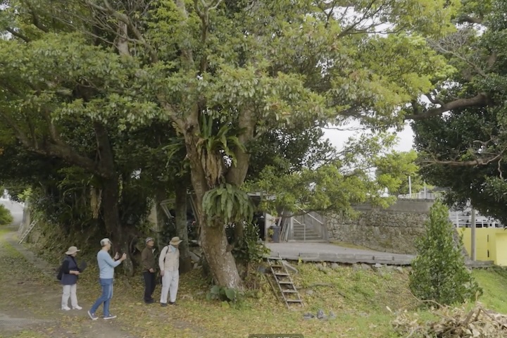沖縄の森をつくり、つなげる《沖縄環境分析センター》