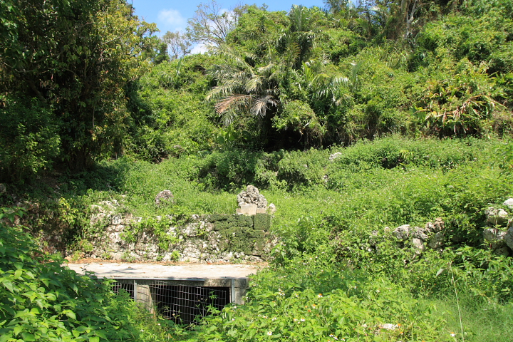 知念大川(ちねんうっかー)