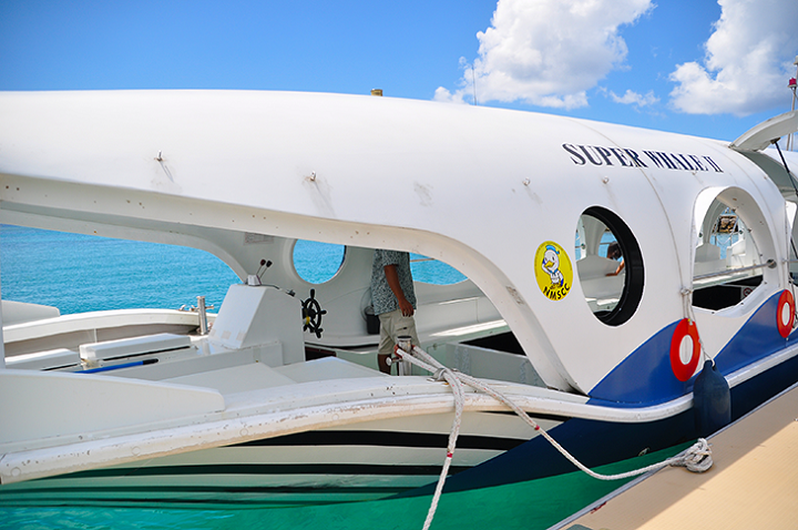 クジラのグラスボート