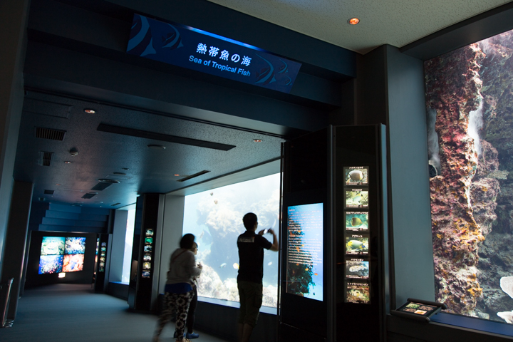 沖縄美ら海水族館