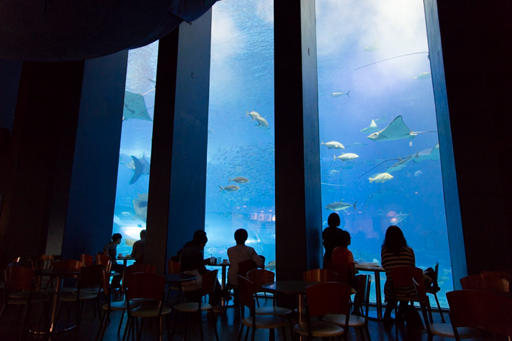 沖縄美ら海水族館