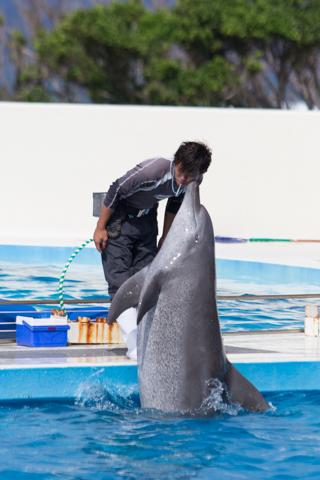 沖縄美ら海水族館