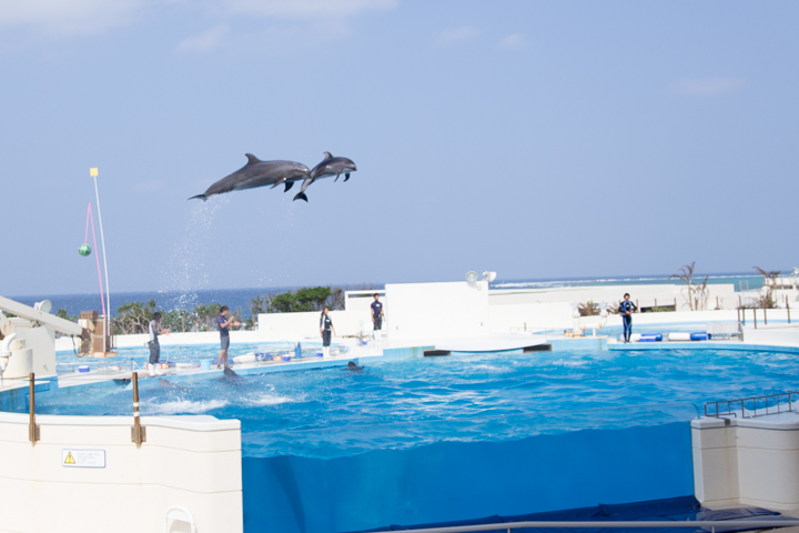 沖縄美ら海水族館